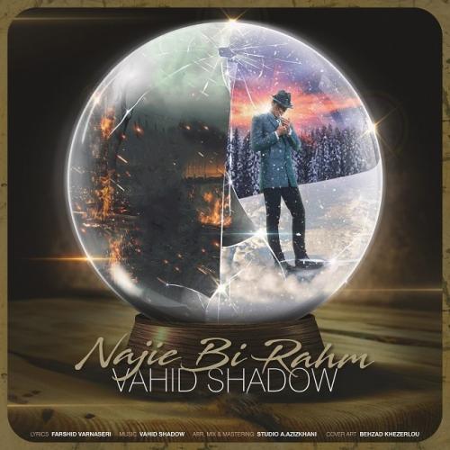 وحید شدو ناجی بیرحم